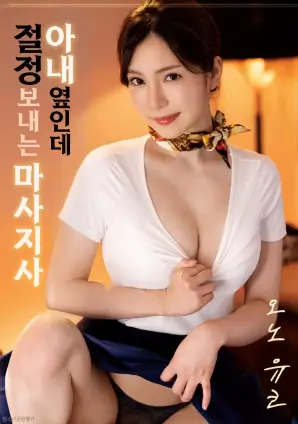 四季信箱剧集图鉴封面